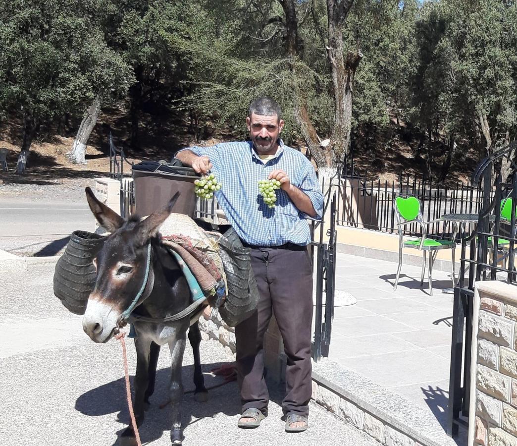 תאזה Tazekka Parc Hotel מראה חיצוני תמונה