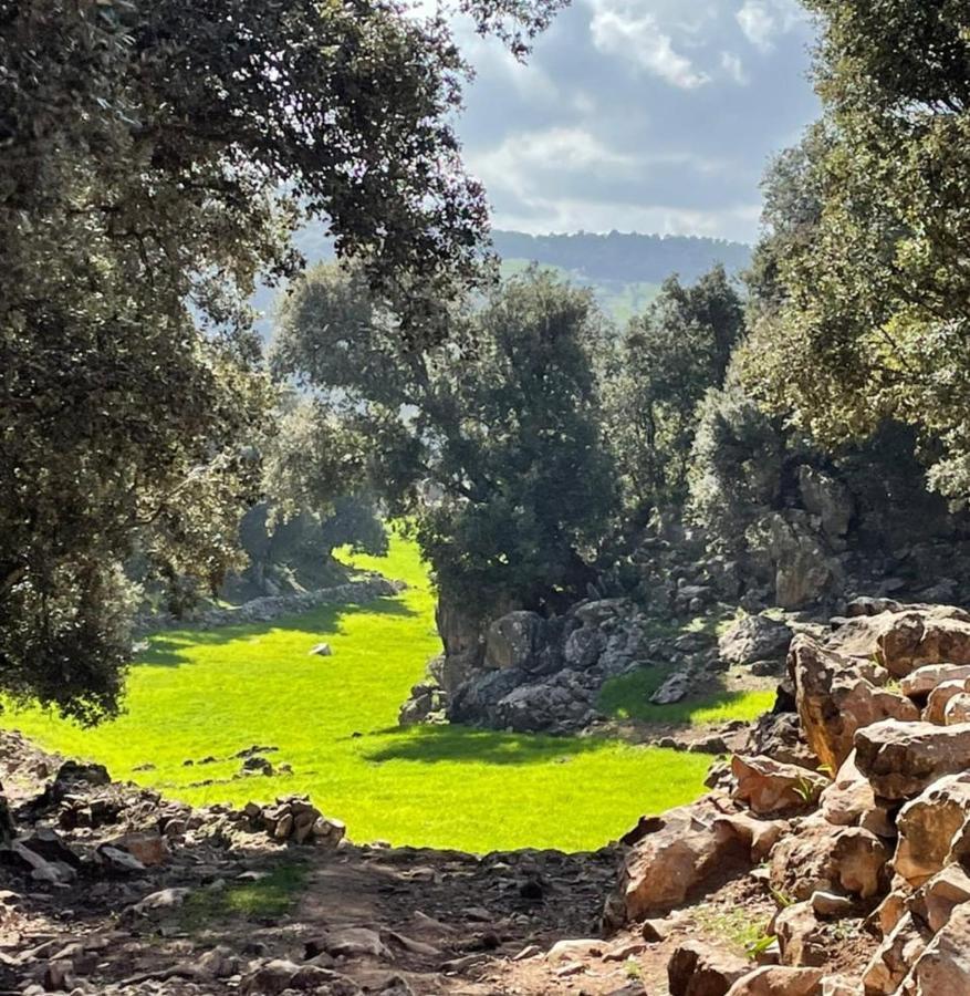 תאזה Tazekka Parc Hotel מראה חיצוני תמונה